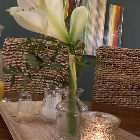 Zum Alten Schlagbaum فندق