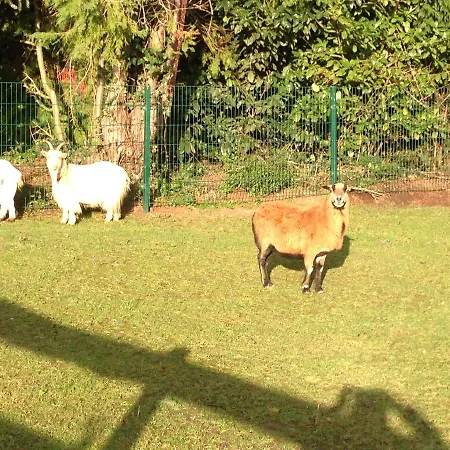 Zum Alten Schlagbaum 3*