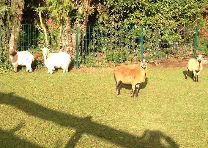 Zum Alten Schlagbaum 3*